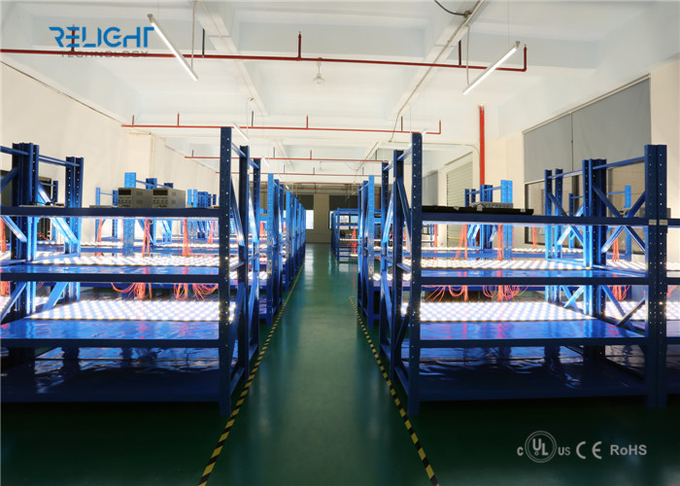 Shenzhen Relight Technology Co.,Ltd 工場生産ライン 8
